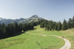 Vue sur le Mont de Grange (18 août 2019)