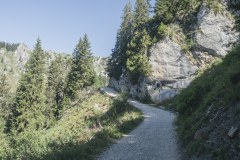 Piste menant au Lac d'Arvouin (18 août 2019)