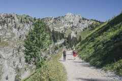 Piste menant au Lac d'Arvouin (18 août 2019)