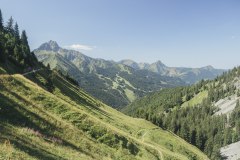 Vue sur le Mont de Grange (18 août 2019)