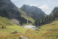 Lac d'Arvouin (18 août 2019)