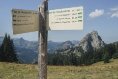 Continuer de suivre la direction du Col du Serpentin (18 août 2019)