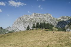 Vue sur les Cornettes de Bise (18 août 2019)