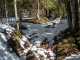 Montée dans la forêt (19 mars 2016)