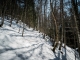 Montée dans la forêt (19 mars 2016)