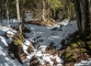 Montée dans la forêt (19 mars 2016)