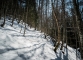 Montée dans la forêt (19 mars 2016)