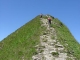 Montée finale de la Pointe de Tardevant