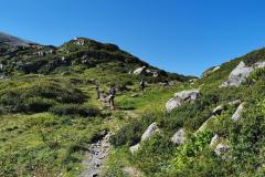 Sentier depuis le lac (29 août 2021)