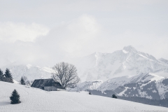 Ferme au lieu-dit "Les Crêts" (5 janvier 2019)