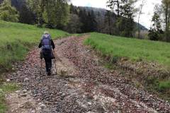 Chemin en direction des chalets du Sollier (23 mai 2021)
