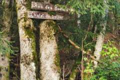 Panneau en hauteur dans les arbres (23 mai 2021)