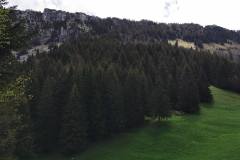 Suivre dans le grand pré (23 mai 2021)