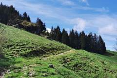 Sentier en direction des chalets très proches (23 mai 2021)