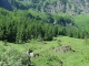 Sentier du roc de Tavaneuse