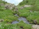 Torrent du Lac de Tavaneuse