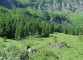 Sentier du roc de Tavaneuse