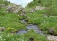 Torrent du Lac de Tavaneuse