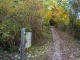 Le sentier se poursuit dans la forêt (13 octobre 2017)