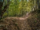 Le sentier se poursuit dans la forêt (13 octobre 2017)