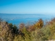 Vue sur le Léman (13 octobre 2017)