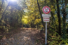 Début de l'ascension dans la forêt du Petit Salève (13 octobre 2017)