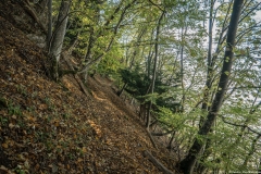 Sentier de Sur les Voutes un peu avant Monnetier (13 octobre 2017)