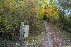 Le sentier se poursuit dans la forêt (13 octobre 2017)