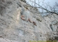 Falaise (Mars 2003)