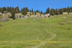Sentier en direction de la commanderie (18 mai 2025)