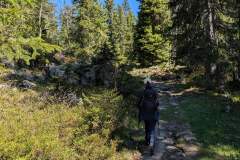 Le sentier commence à descendre (18 mai 2025)