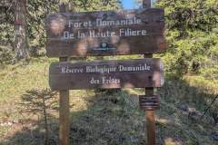 Réserve domaniale des Frêtes (18 mai 2025)