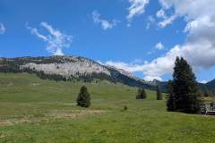 Champlaitier (18 mai 2025)