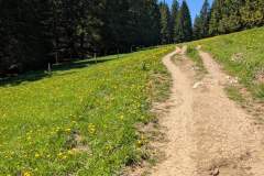 Suivre le sentier (18 mai 2025)