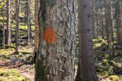 Balisage orange à suivre (18 mai 2025)