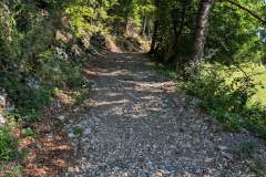 Montée dans la forêt (7 août 2025)