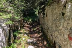 Montée dans la forêt (7 août 2025)