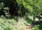 Dans la forêt (9 septembre 2010)
