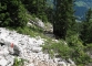 Redescente dans la forêt de la Perrière (9 septembre 2010)