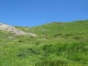 A la descente comme à la montée, toujours longer à gauche dans l'alpage d'Arnuva