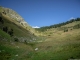 Prairie avant le Col de l'Aup Couti (26 aout 2018)