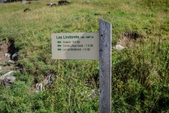 Du parking, suivre la direction du Col de l'Aup Couti (1h30) (26 aout 2018)