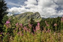 Pointe de la Chavache (26 aout 2018)