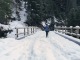 Pont sur le Torrent de l'Epine (25 décembre 2019)