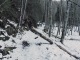 Le sentier continue dans la forêt (25 décembre 2019)
