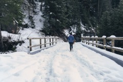 Pont sur le Torrent de l'Epine (25 décembre 2019)