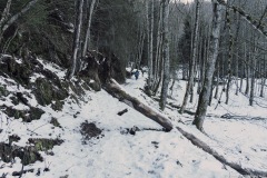 Le sentier continue dans la forêt (25 décembre 2019)