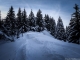 Sentier dans la forêt (31 décembre 2013)