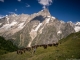 Pointe Walker et Grandes Jorasses (17 août 2016)