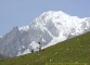 Mont Blanc (25 août 2004)